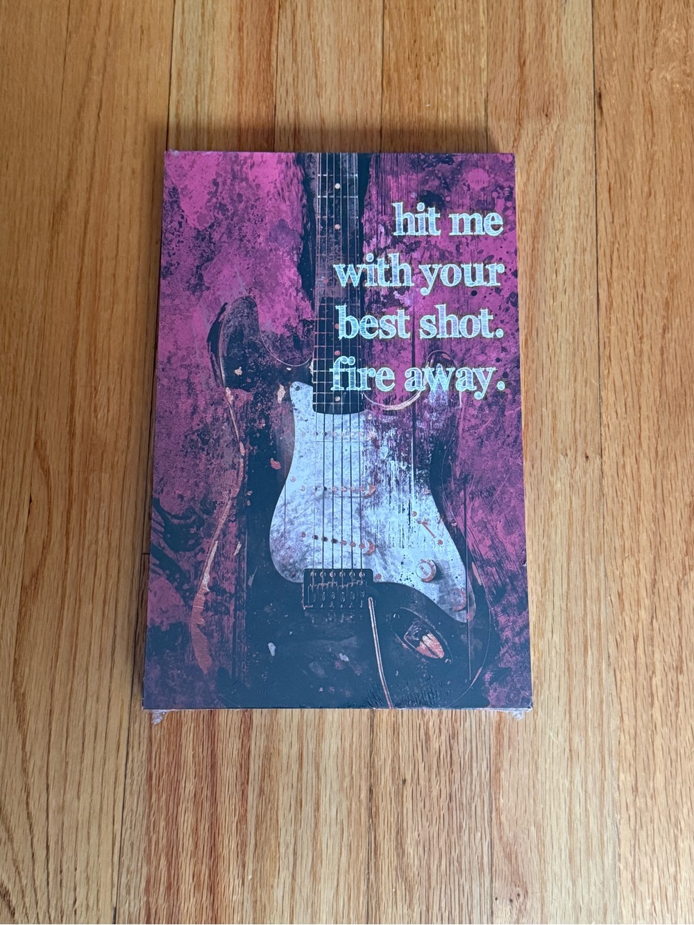 Guitar Wall Art Plaque in‎ Pink and Black